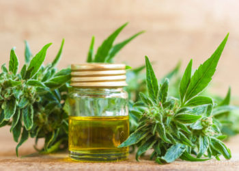 Le sommeil, un facteur décisif dans la performance en eSport