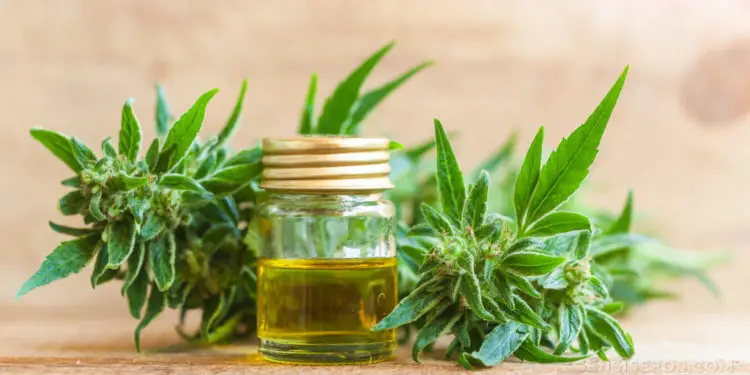 Le sommeil, un facteur décisif dans la performance en eSport