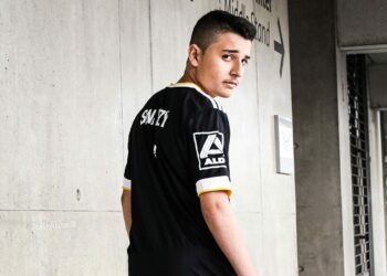 Vitality arrête Fortnite, la fin d’une ère chez les Abeilles !