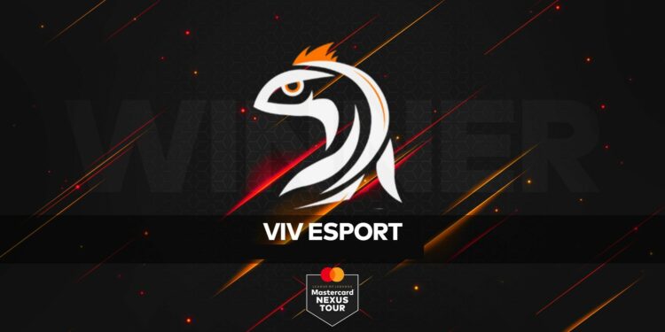 Dans le rouge financièrement, ViV Esport va lâcher la Division 2