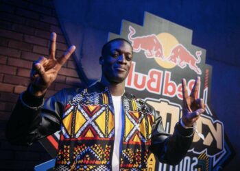 Akainu tombe en finale du Red Bull Kumite