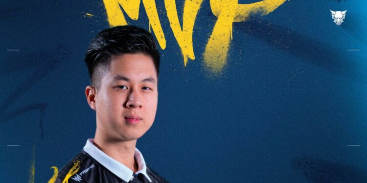 Solary dévoile son nouveau roster Valorant