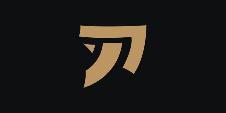 Fake Esports, équipe française de FPS, dévoile son équipe académique sur Valorant