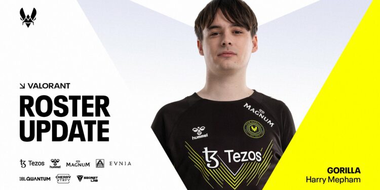 VCT : Gorilla est le nouveau head coach de Vitality (off.)