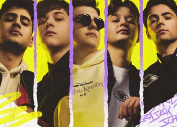 Vitality.Bee surclasse Solary en finale de la Coupe de France !