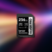 Test de la Carte SD Lexar Professional Silver 256 Go : Le choix parfait ?