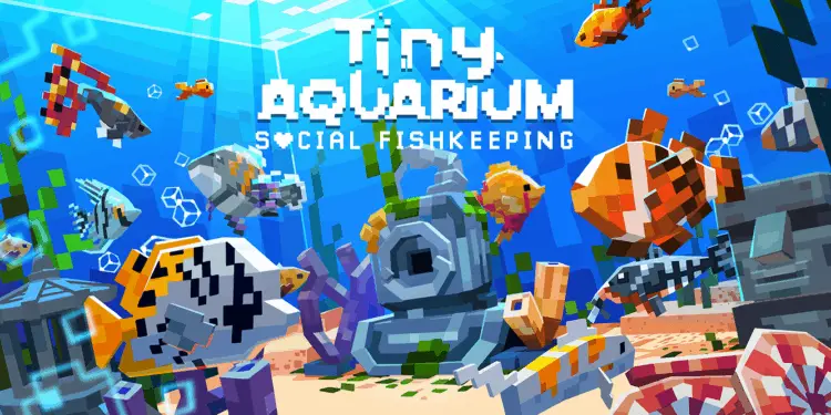 Tiny Aquarium : la simulation d’aquarium relaxante arrive sur Steam