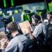 Gentle Mates n’ira pas au Major de Budapest