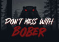Test – Don’t Mess With Bober (PS5)