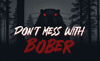 Test – Don’t Mess With Bober (PS5)